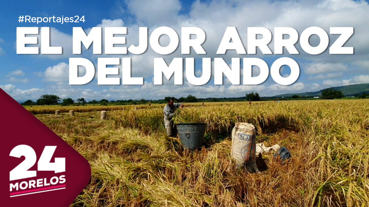 Morelos tiene el mejor arroz del mundo