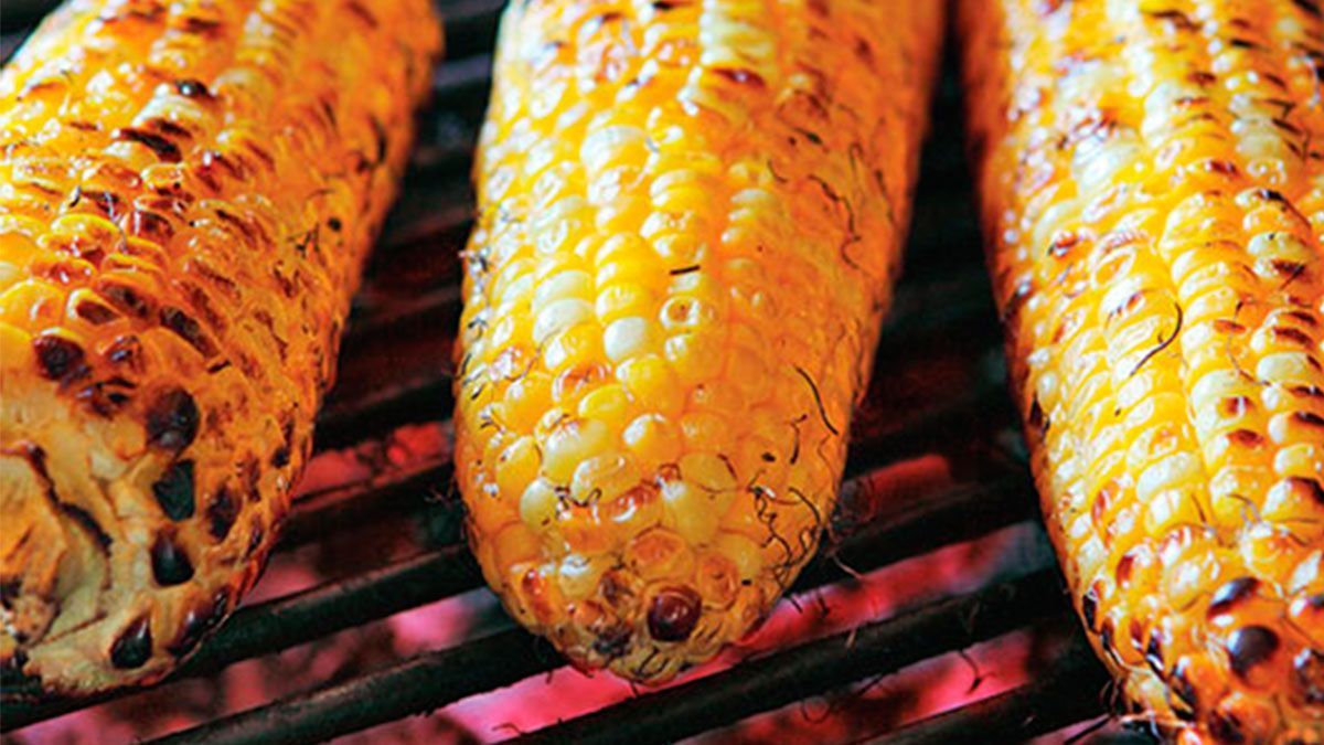 Propone edil de Reynosa impuesto a los tacos y elotes