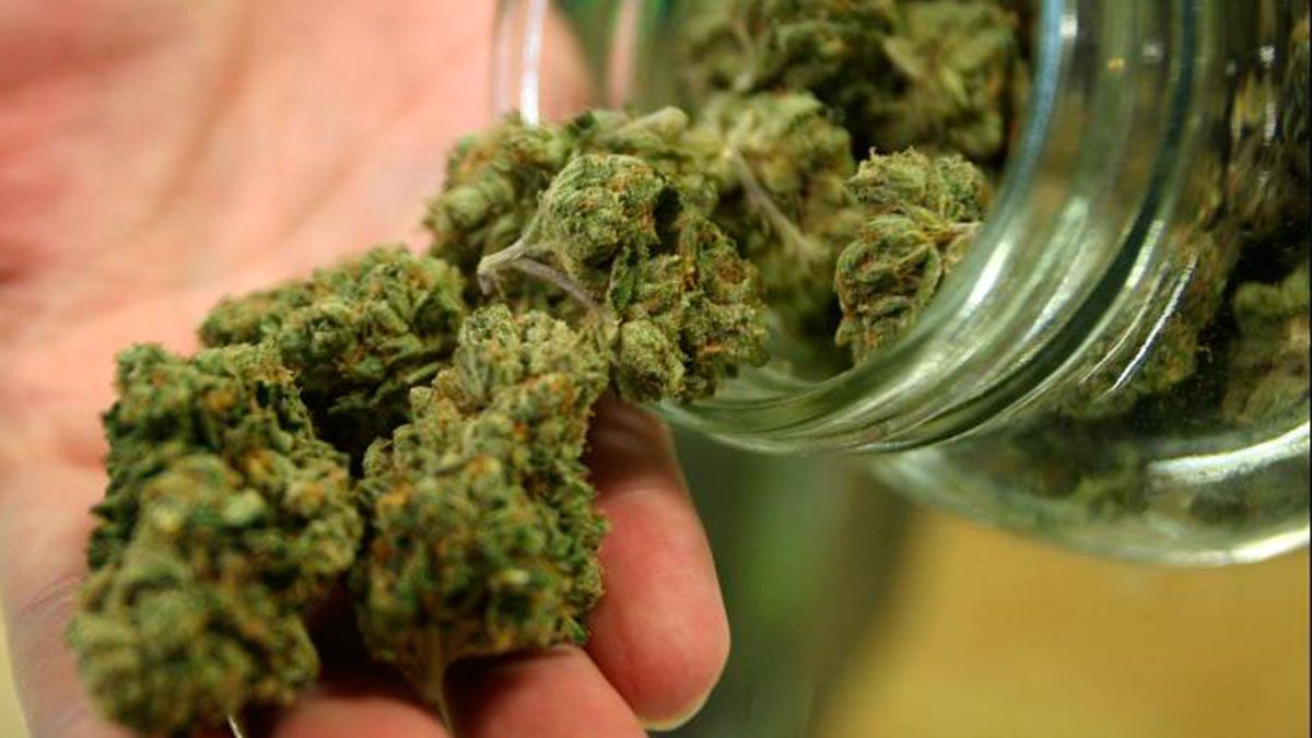 31 de octubre, fecha límite para tema marihuana