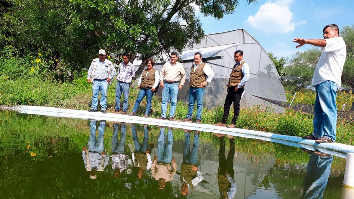 Apoya SDS a productores de mojarra de Emiliano Zapata
