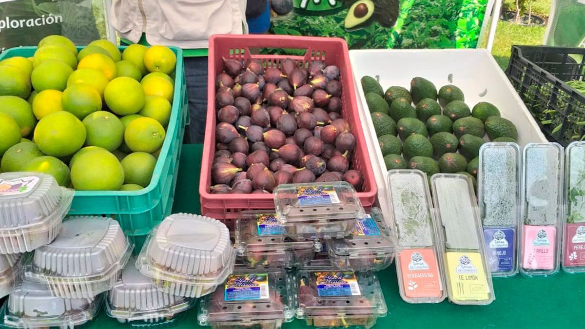 Impulsan la Agrosustentabilidad en Morelos