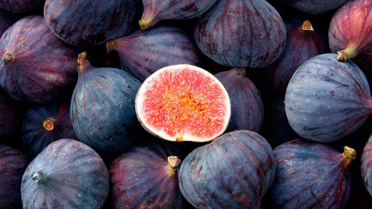 Buscan exportar productos morelenses a Emiratos Árabes