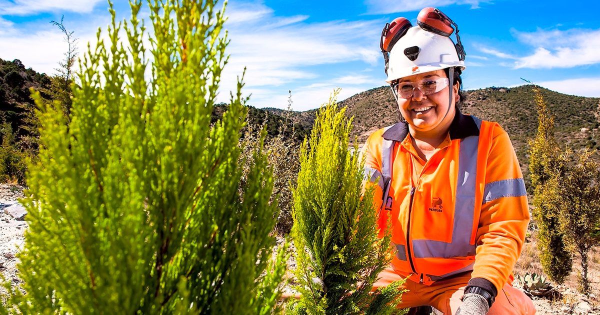 Mina sustentable a favor del medio ambiente