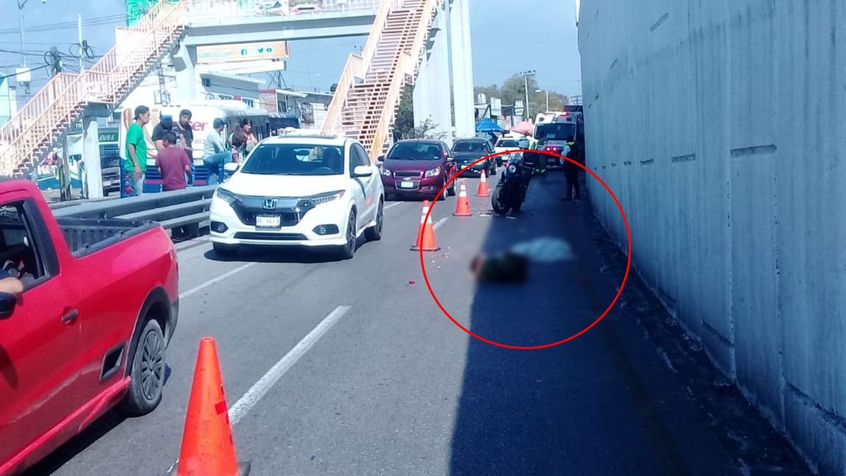 24 Morelos Atropellado en Cuernavaca