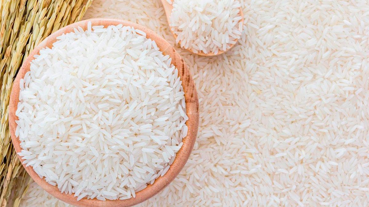 Concluye cosecha de arroz en Morelos