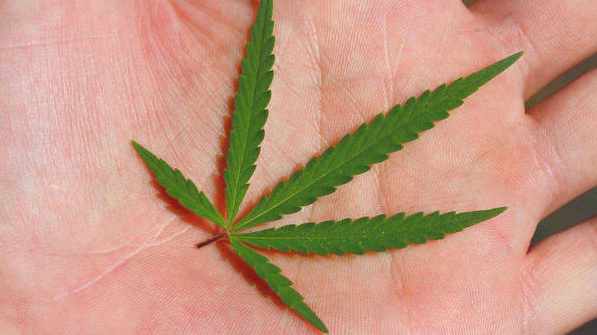 Semen de mejor calidad ¿fumando marihuana?