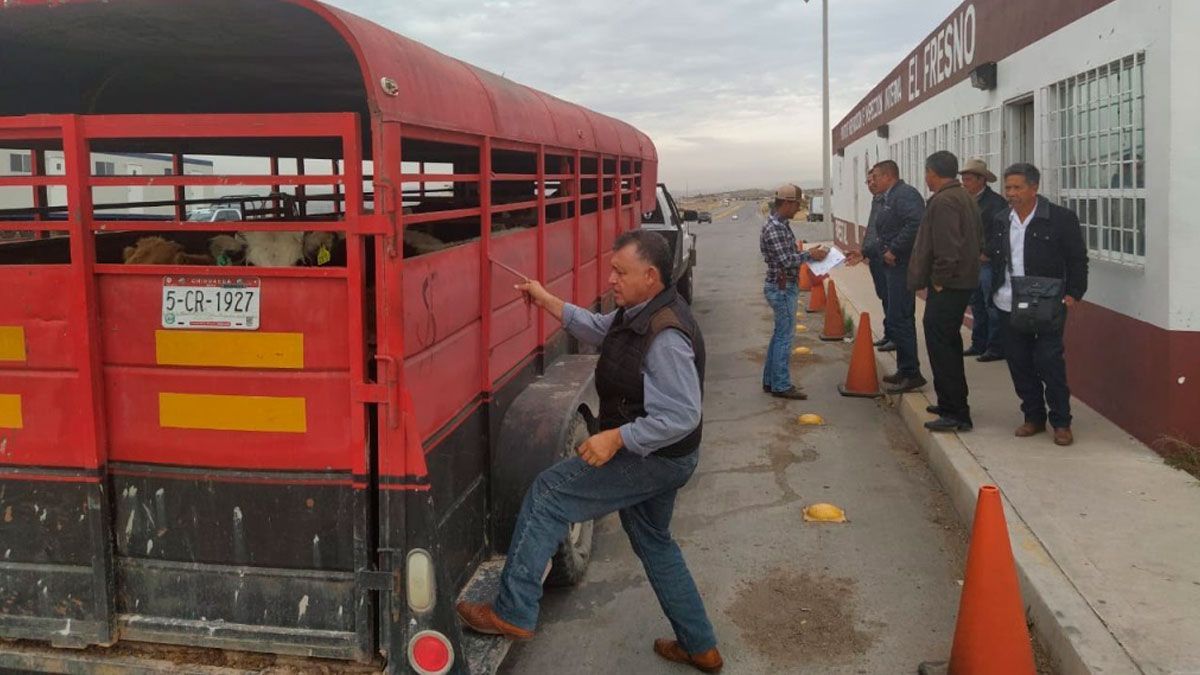 Implementará Morelos registro electrónico de movilización de ganado