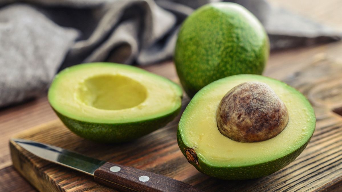 Exportación de aguacate será mayor este 2021