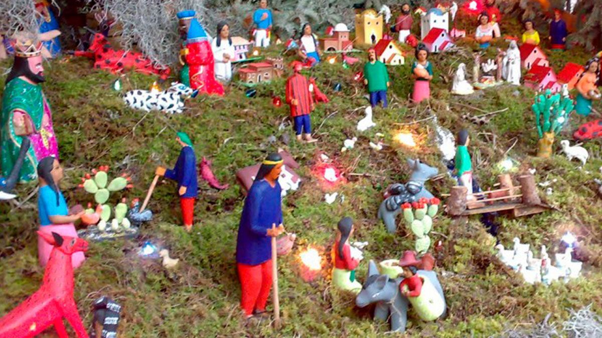 ¿Qué hago con el musgo del nacimiento?