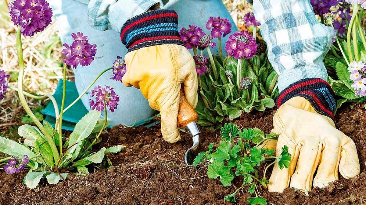 Tips de jardinería que todos deben saber