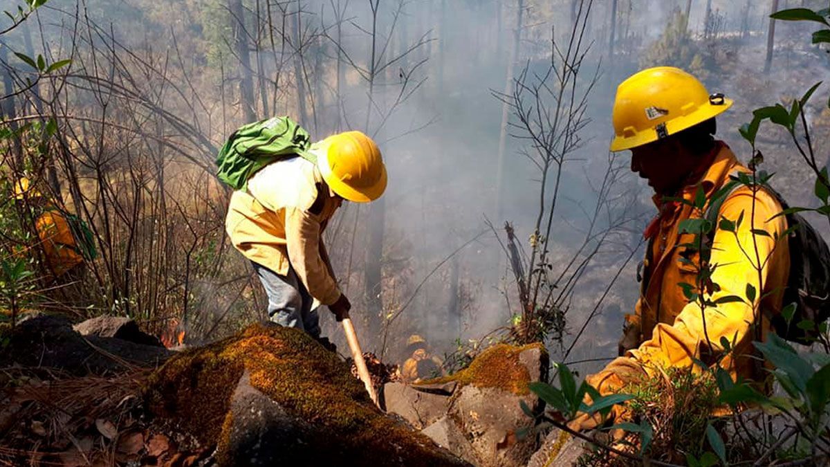 24 Morelos Incendio