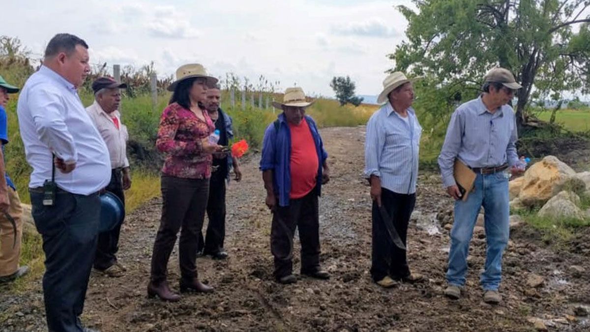 Rehabilita Sedagro 422 km de caminos de saca durante 2019