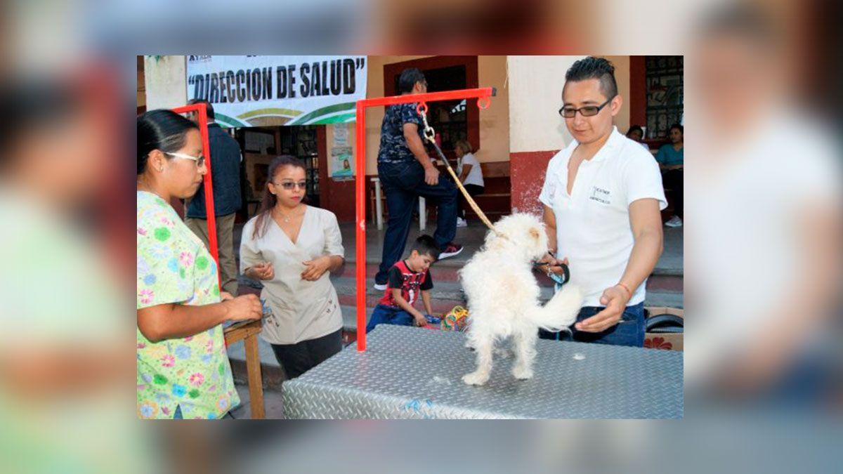 Realizan Feria de la Salud canina y felina en Tenextepango