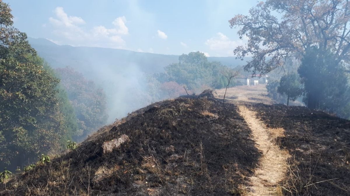 Atienden incendio forestal en La Herradura en Cuernavaca