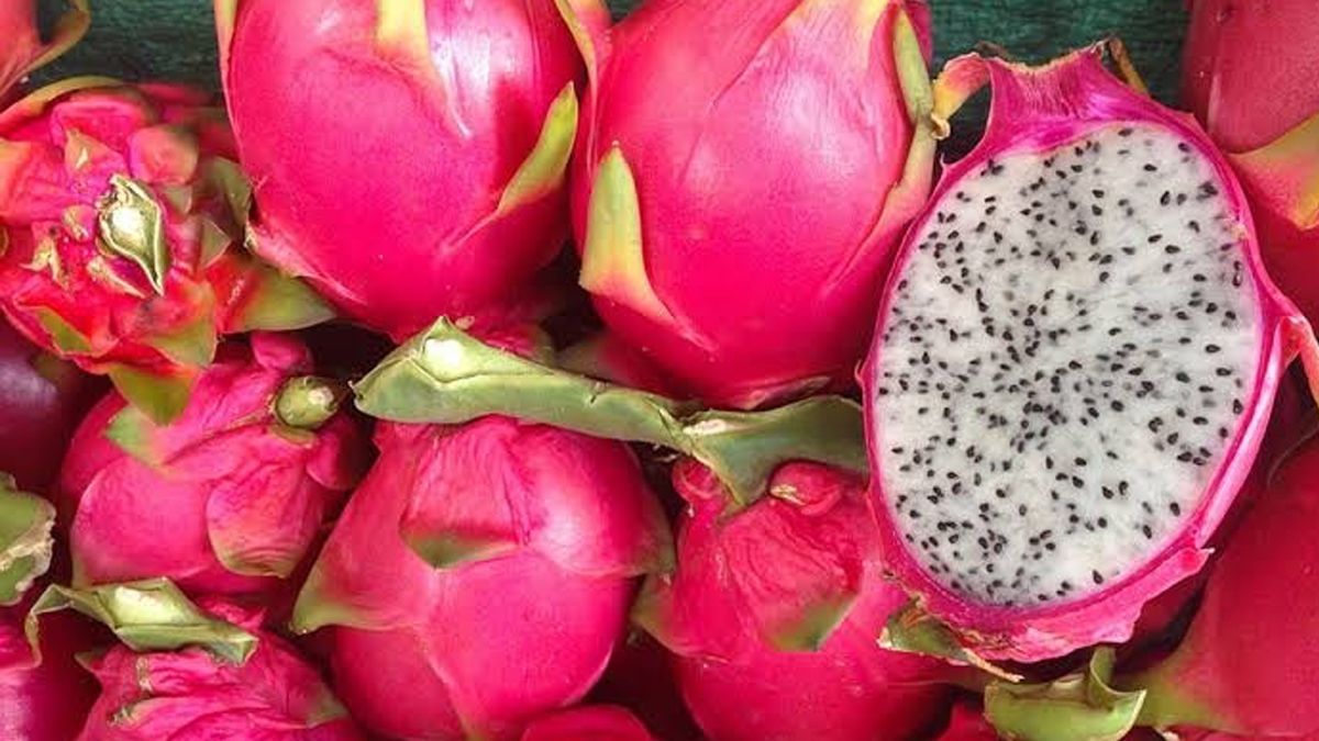 24 Morelos Pitahaya Fruta