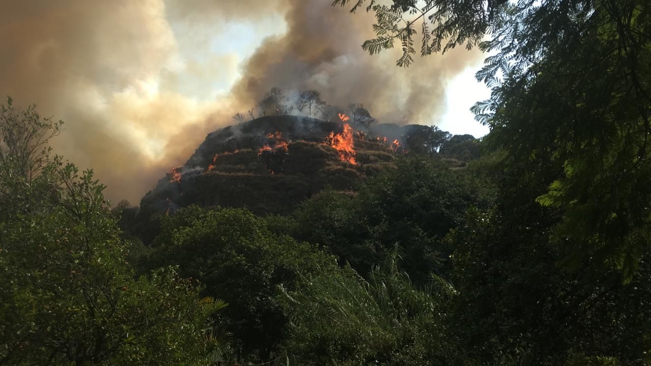 24 Morelos incendio