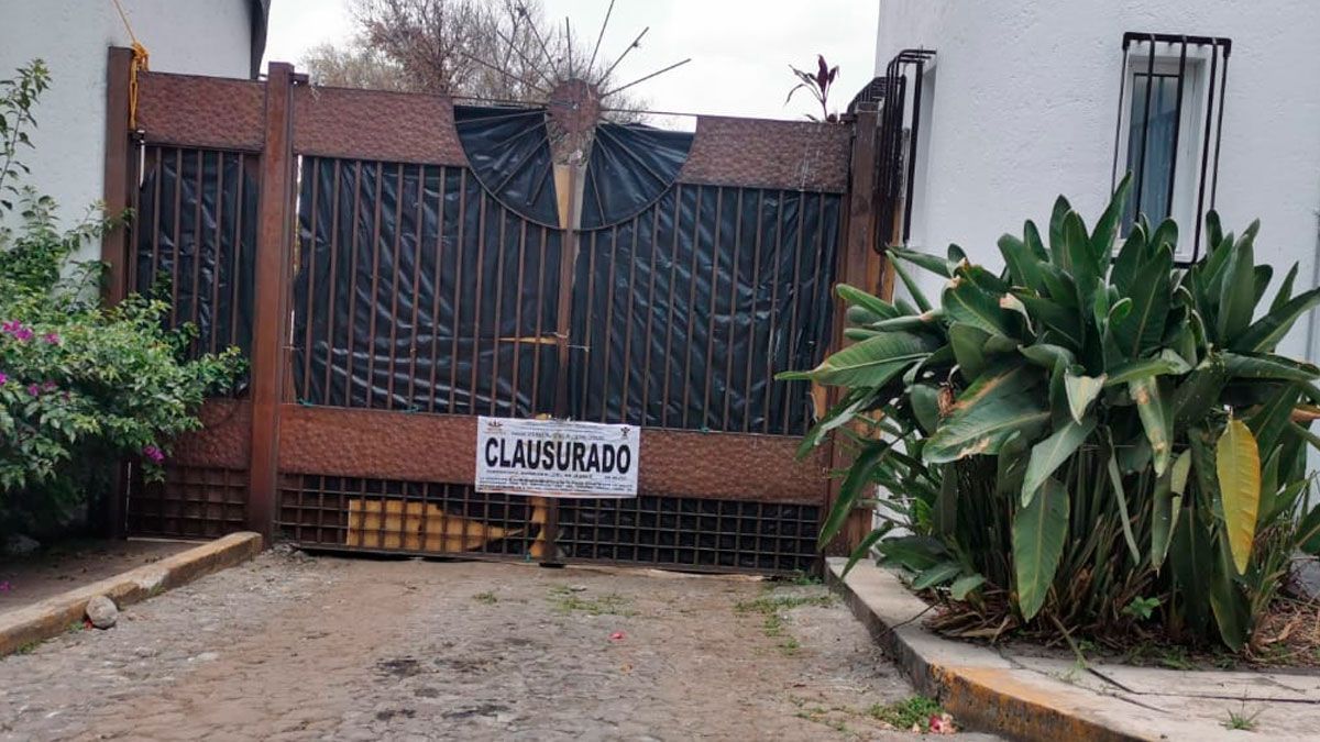 Sancionarán a empresa que taló árboles en Acapantzingo