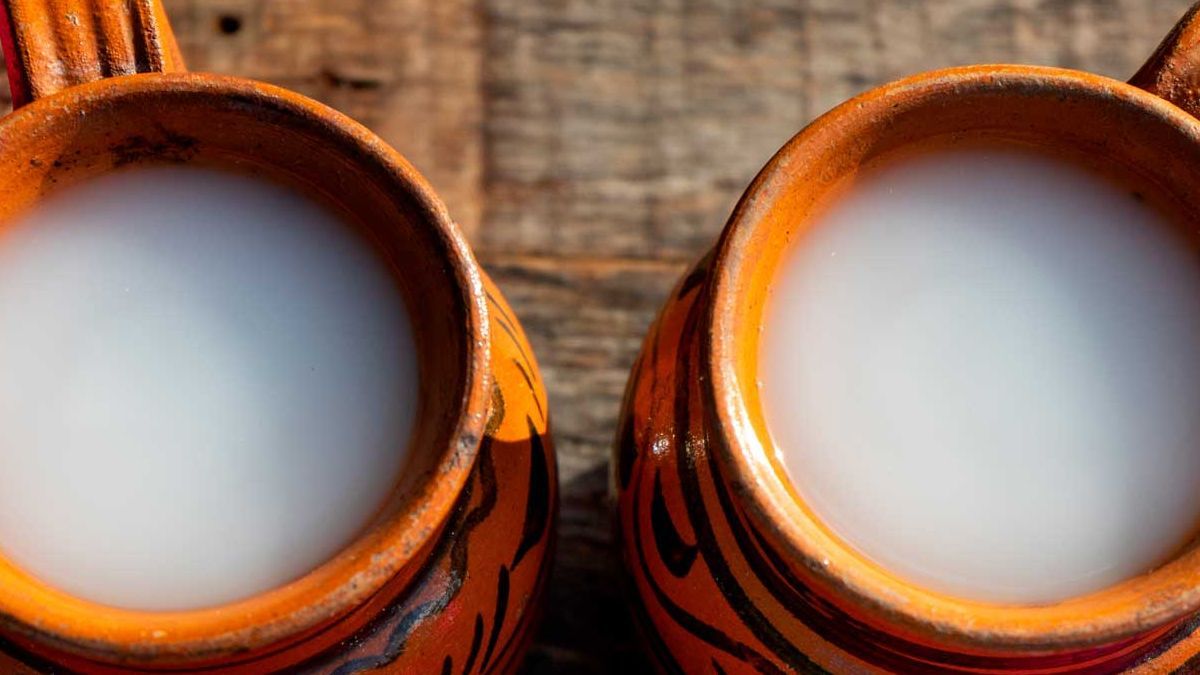 ¿Te gusta el pulque? Estos son los beneficios