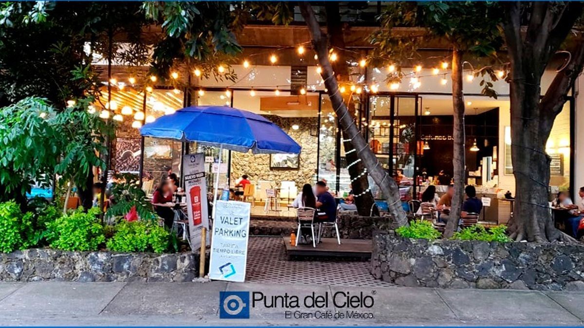 24 Morelos Café Punta del Cielo