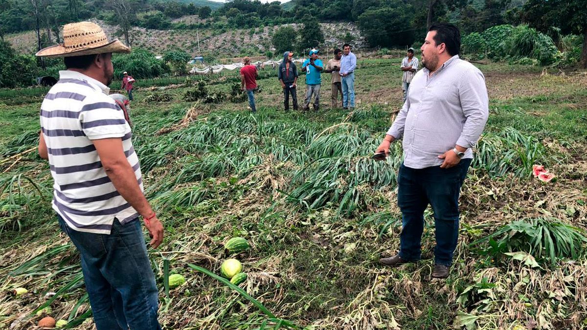 Afectaciones por desbordamientos en cultivos de Coatlán del Río
