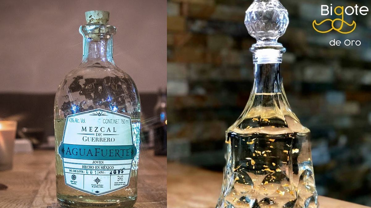 El mezcal y sus múltiples beneficios