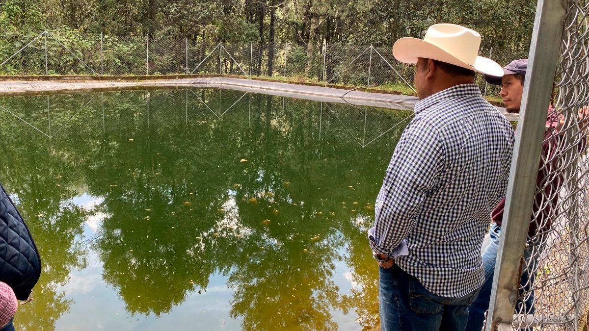Supervisan obra para mejoramiento de riego en Altos de Morelos