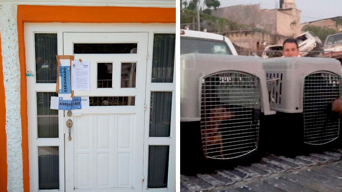 Catean “narcotiendita” y rescatan a dos canes en Cuautla
