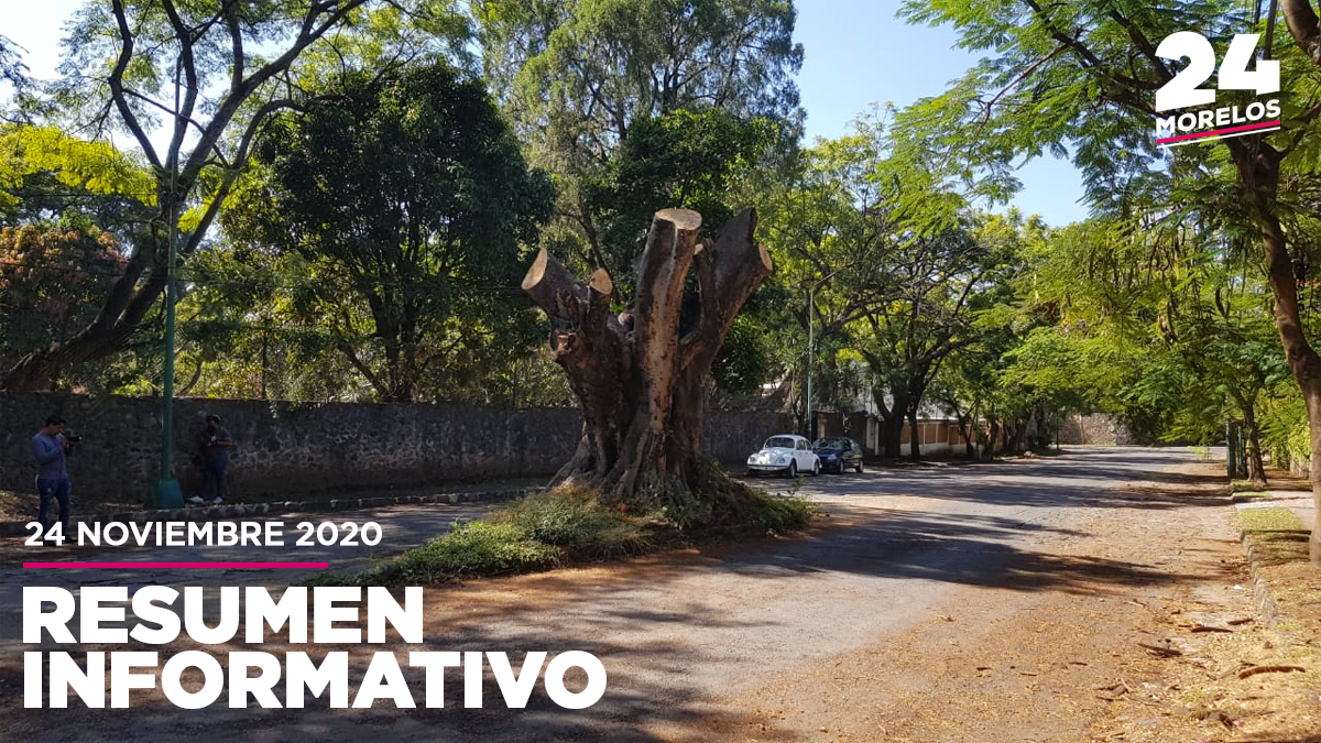 Sancionará ayuntamiento a responsable por tala de árbol