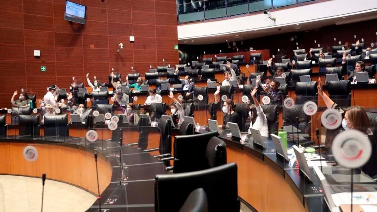 24 Morelos Senado