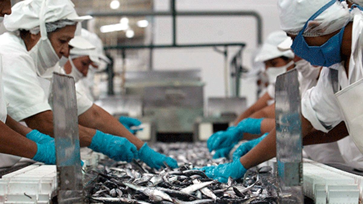 Ofertan 50 plazas para mujeres en Canadá