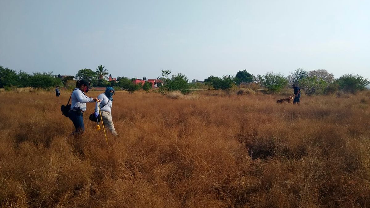 Realizarán Brigada de Búsqueda en Morelos