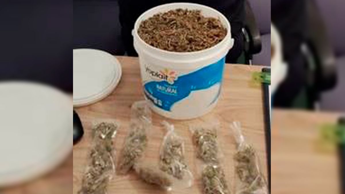 Detienen a menor con una cubeta que en su interior tenía marihuana