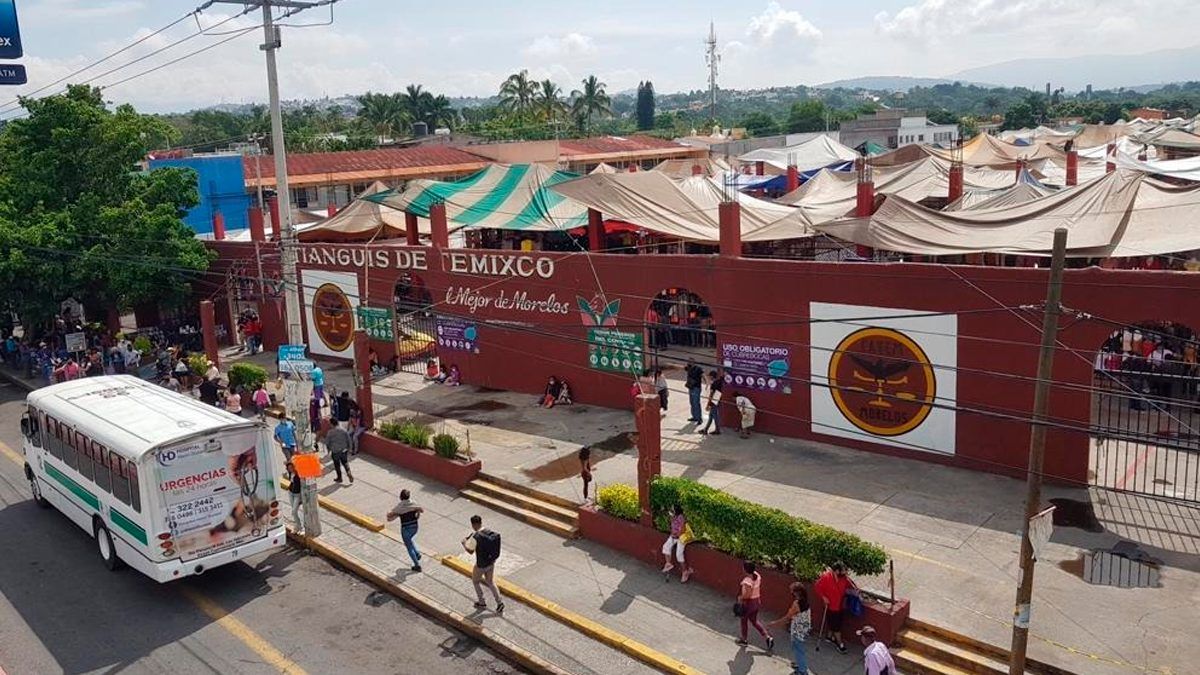24 Morelos Tianguis de Temixco