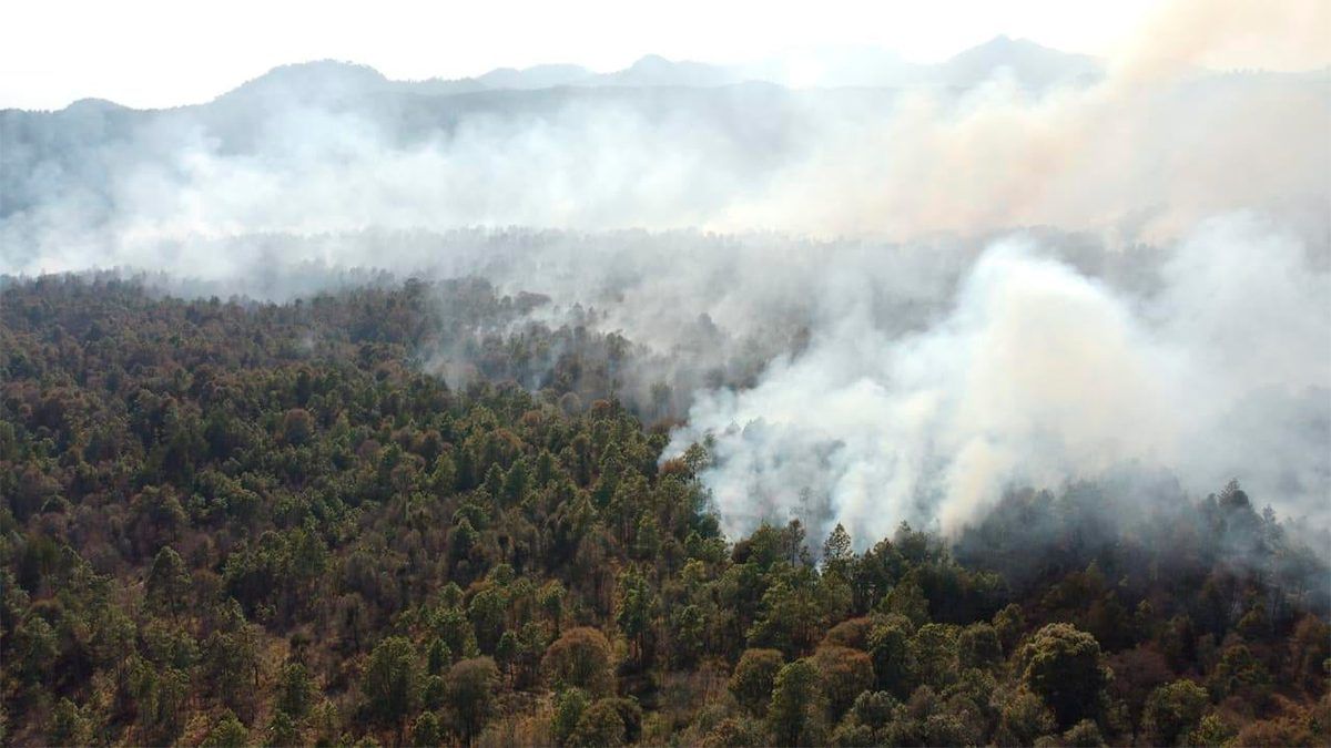 24 Morelos Incendio