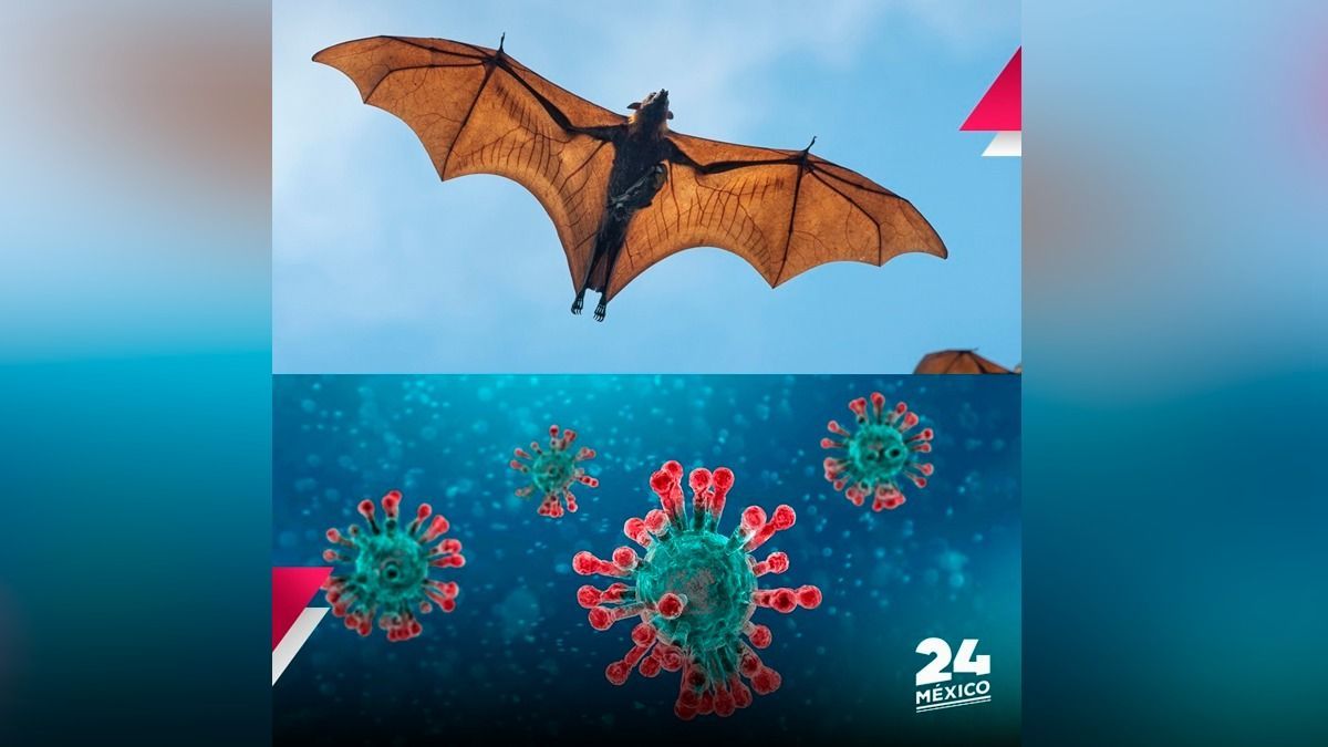 Expertos determinan que coronavirus NO fue creado en laboratorio