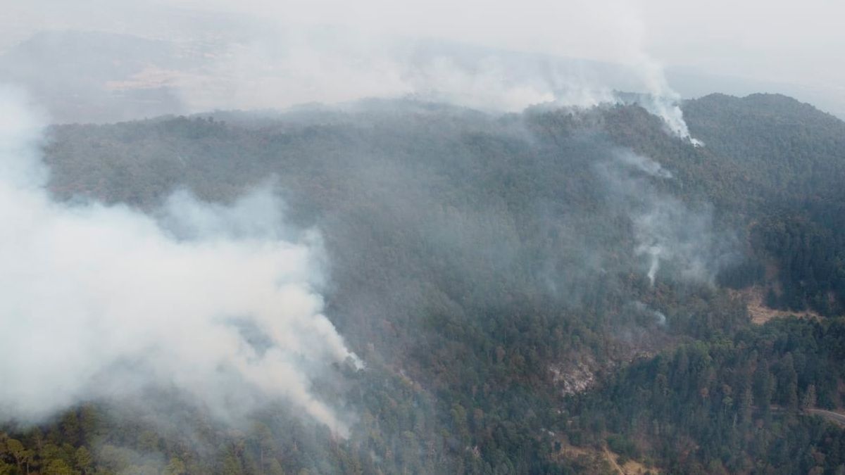 En 24 horas podría liquidarse incendio en Huitzilac: Protección Civil
