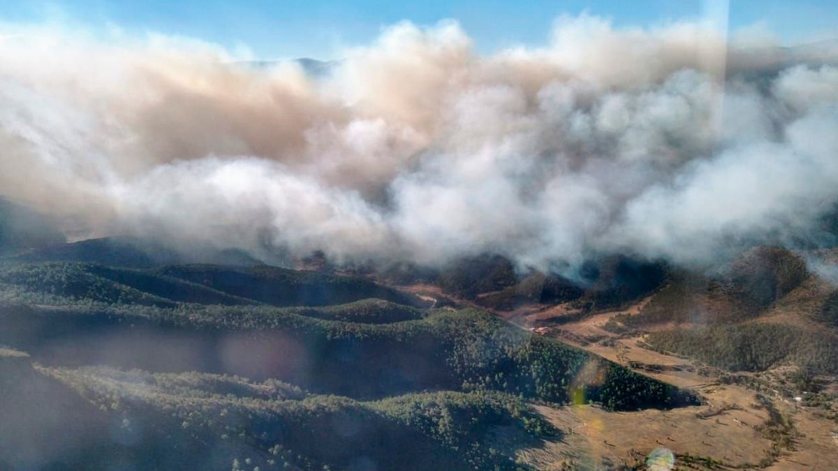 Continúan labores por incendio en Nuevo León; 9 comunidades son afectadas