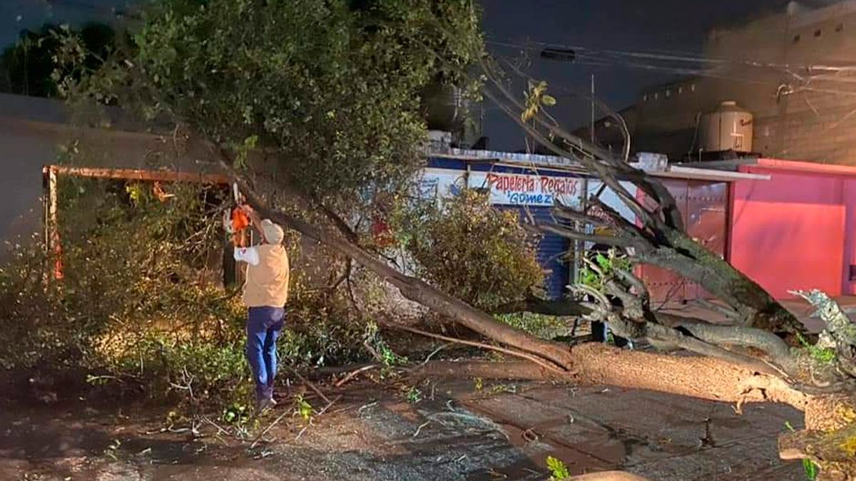 Sin mayores afectaciones por rachas de viento en Morelos