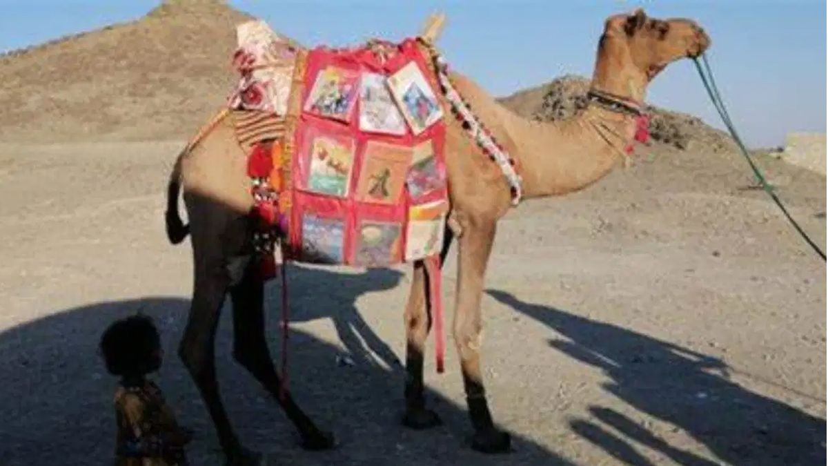 Camello lleva libros a niños en Pakistán