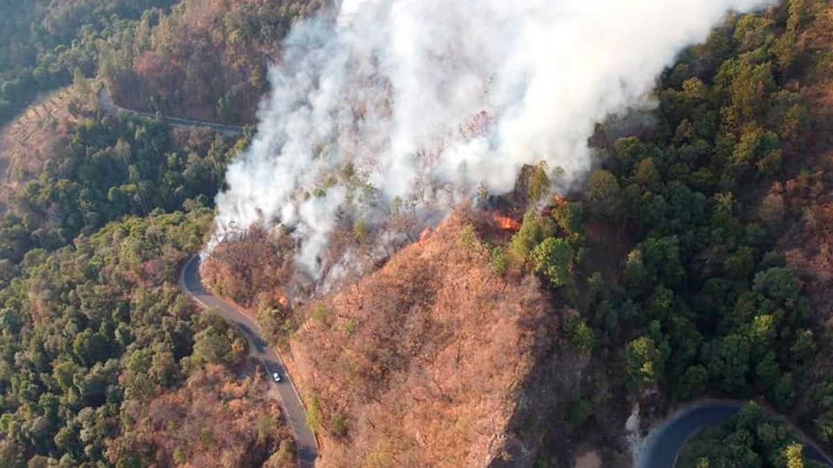Continúa atención por incendio forestal en límites de Cuernavaca con EdoMex