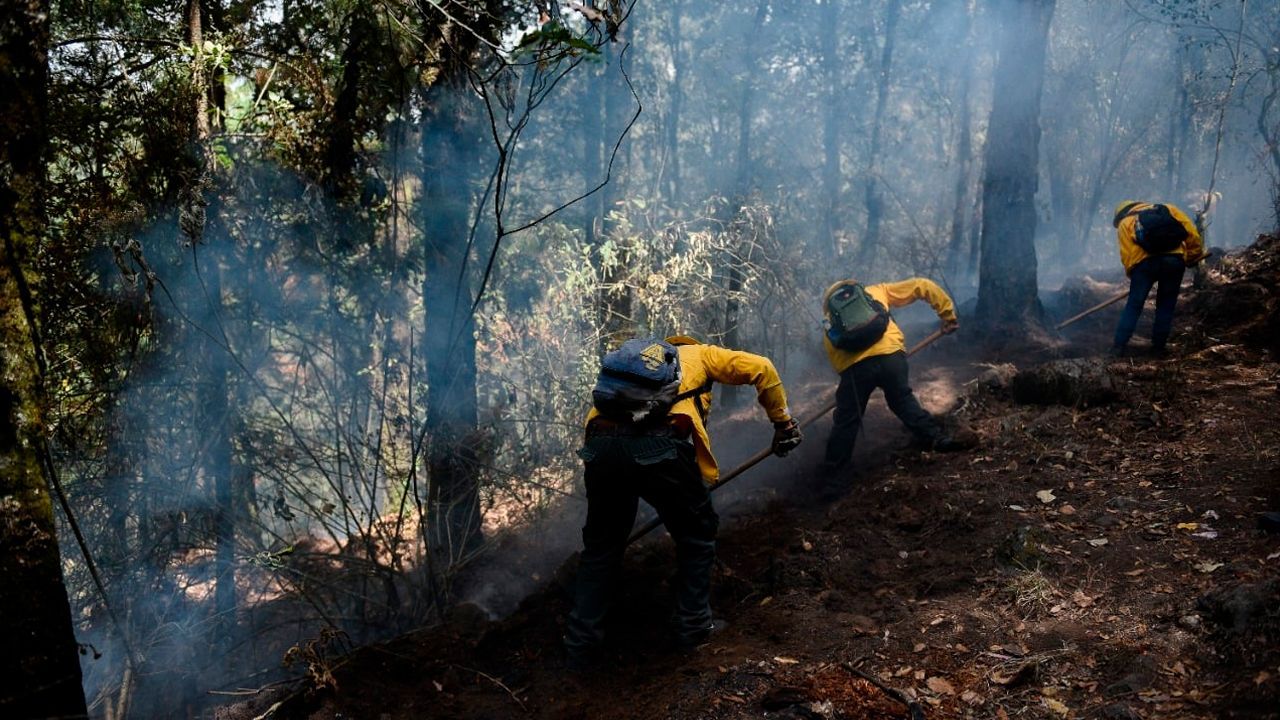 Más de 350 hectáreas afectadas por incendio en Huitzilac