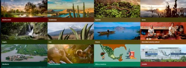 Participa en el Reto Naturalista Urbano