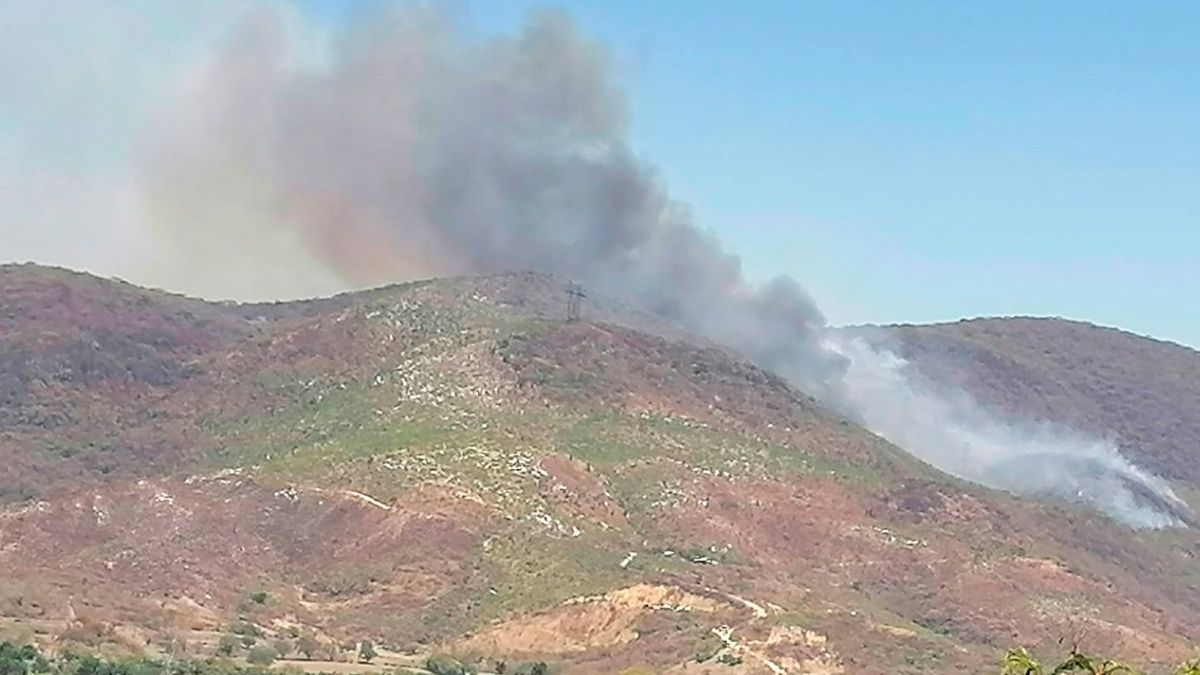 Se debe espera para restaurar zonas afectadas por incendios forestales: SEMARNAT