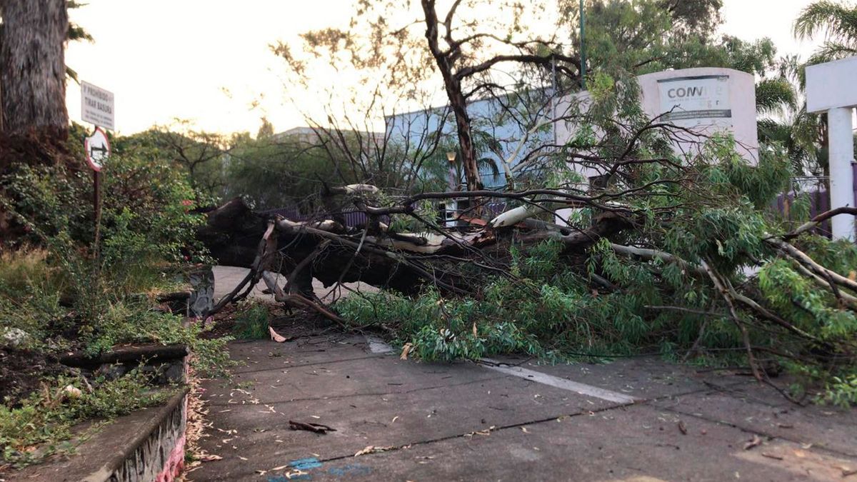 Reportan daños por lluvias en Cuernavaca