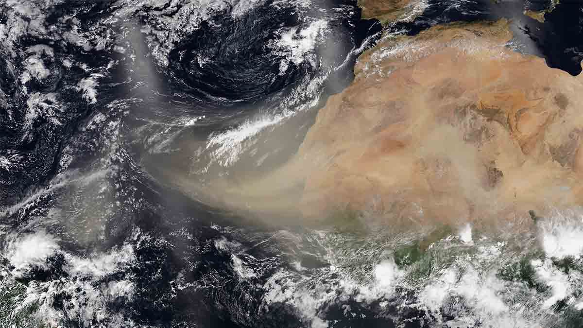 Primer pulso de Polvo del Sahara llega a México