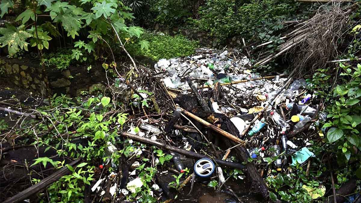 Continúa trabajo en barrancas de Cuernavaca