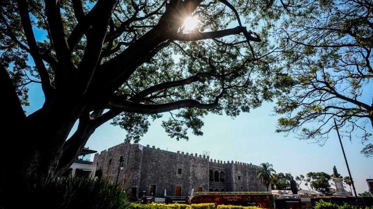 Conoce los lugares perfectos para llevar a los niños en Cuernavaca