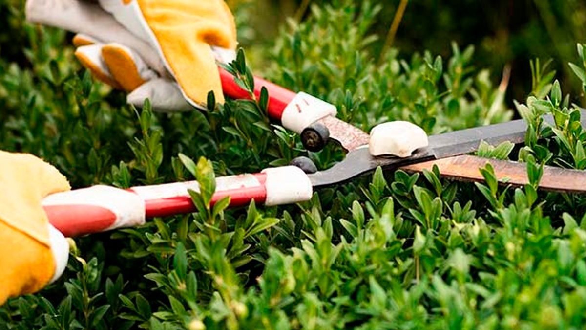 Oferta SNE vacantes de jardinero en Canadá