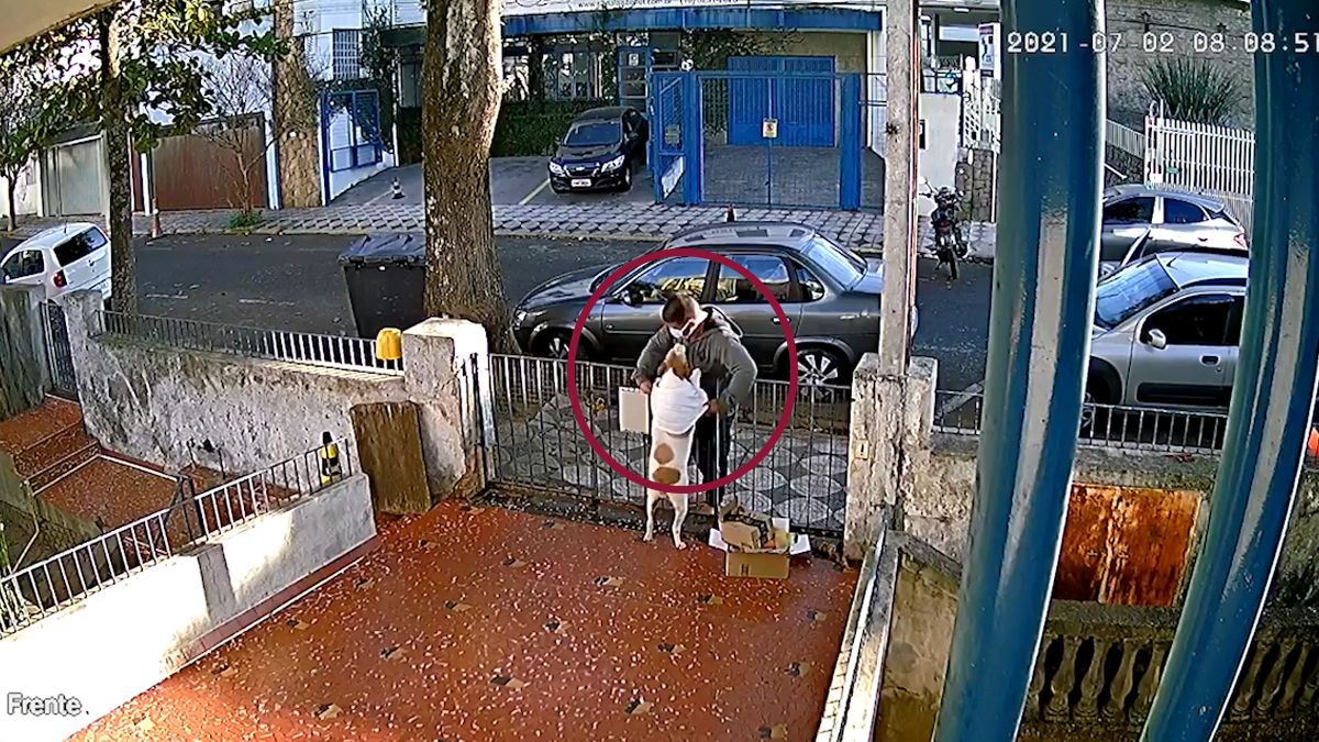 Le roba su playera a un perrito inocente
