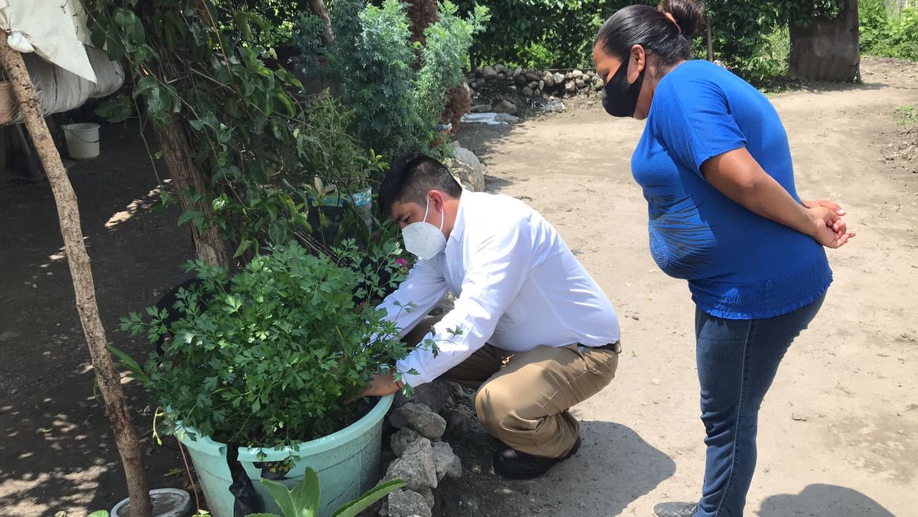 “Huerto para todos” el programa productivo en Tetlama